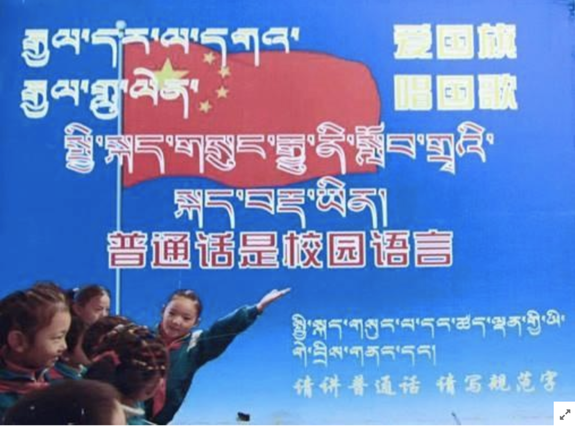 Tibetan netizens express the need for their mother-tongue