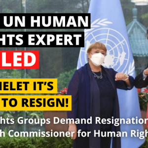 230 Rights groups demand resignation of UN High Commissioner for Human Rights