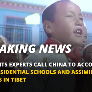UN Rights Experts Call China to Account over Residential Schools and Assimilation Policies in Tibet