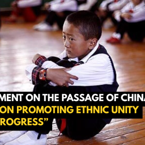 Statement on the Passage of China’s “Law on Promoting Ethnic Unity and Progress”